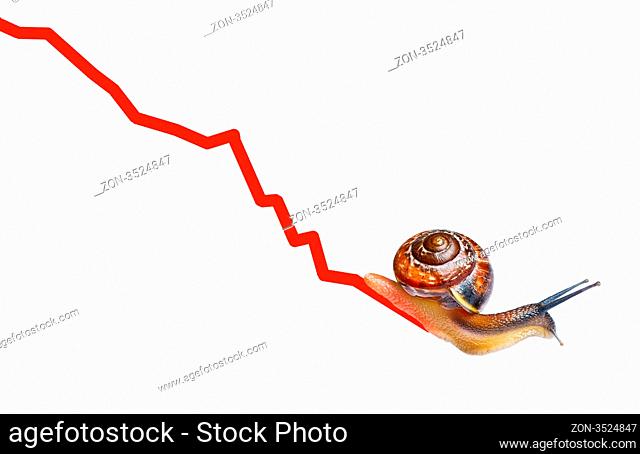 Snail on chart currency isolated on white