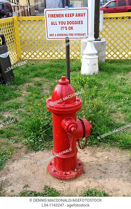 Fire Hydrant replica for dogs urination