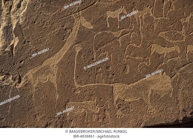 Ancient rock engravings, Twyfelfontein, Namibia, Africa