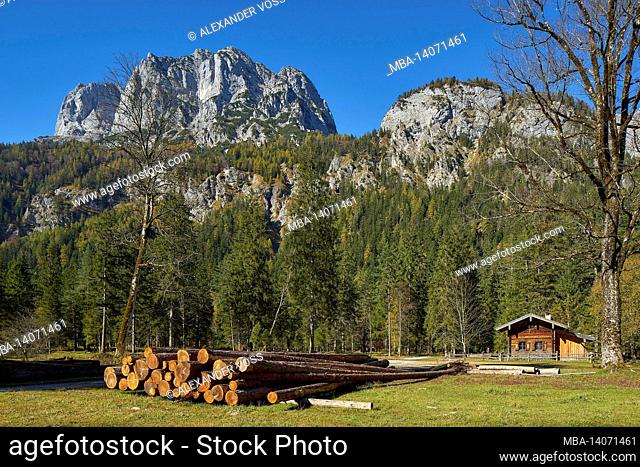 europe, germany, bavaria, berchtesgaden, berchtesgadener land, national park, mountains, forest, nature autumn, hut, wood
