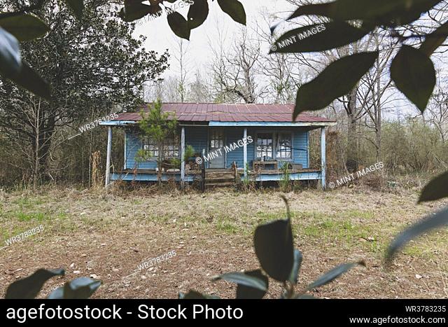 A rural homestead or small house abandoned and crumbling, overgrown with plants and shrubs