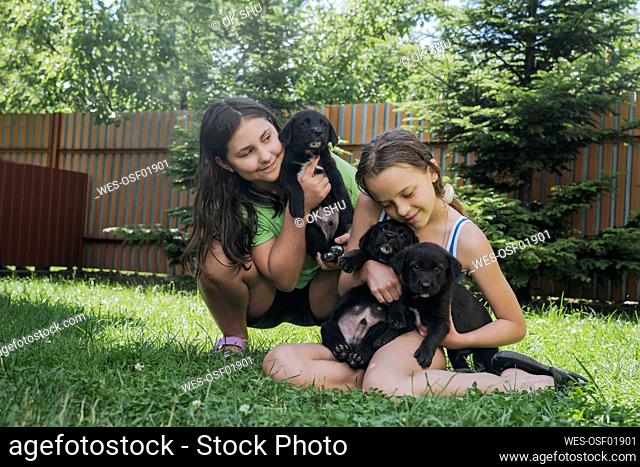 Smiling friends playing with dogs in back yard