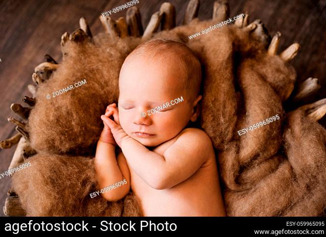 An infant sleeping with her hands under her cheeks at a newborn photoshoot. High quality photo