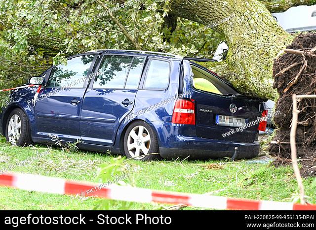 25 August 2023, Bavaria, Lindau: Fallen trees and branches lie on a passenger car. The previous night, a severe thunderstorm had passed over the southwest