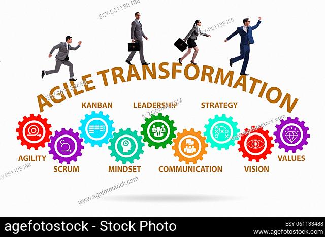 Concept of the agile transformaion and reorganisation