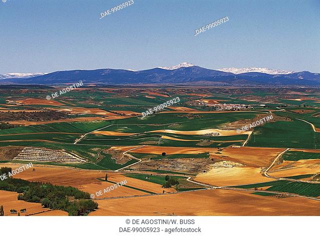 Agricultural landscape near Jadraque, Castile-La Mancha, Spain