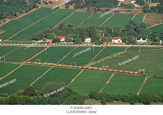 Train Travelling Through Vineyard Landscape - Aerial View  Paarl, Boland District, Western Cape Province, South Africa