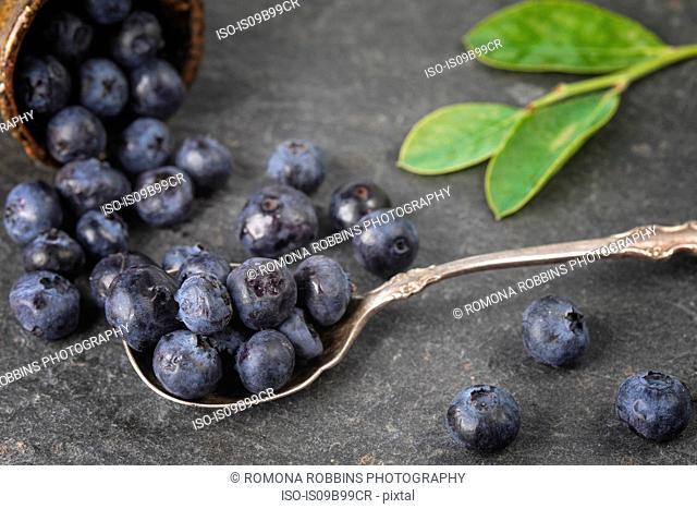 Blueberries spilling from bowl and on spoon