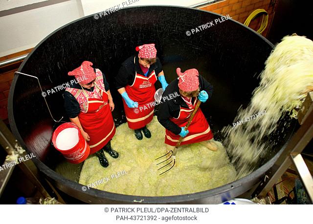 Employees of the Spreewaldmueller & Co. company stand in a large container to tramp cut white cabbage in Luebbenau, Germany, 30 October 2013