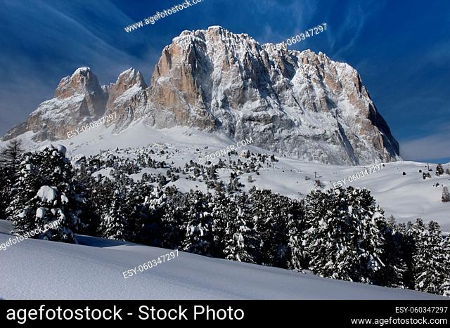 The idyllic panorama of the snowy forest and peaks in the Dolomiti
