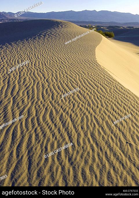 Stovepipe Wells Sand Dunes. . Death Valley National Park. . California. USA
