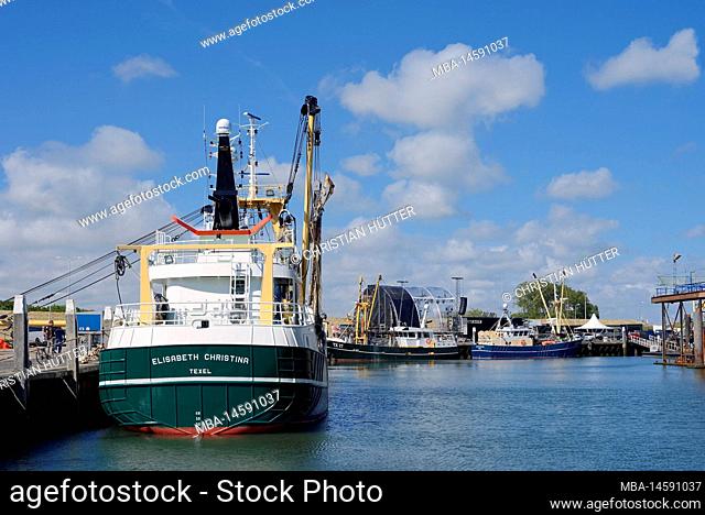 Fishing trawler in harbor, Oudeschild, Texel, North Holland, Netherlands