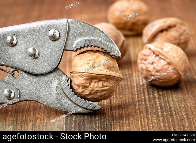 Adjustable wrench holding walnut to crack. Pure organic walnuts