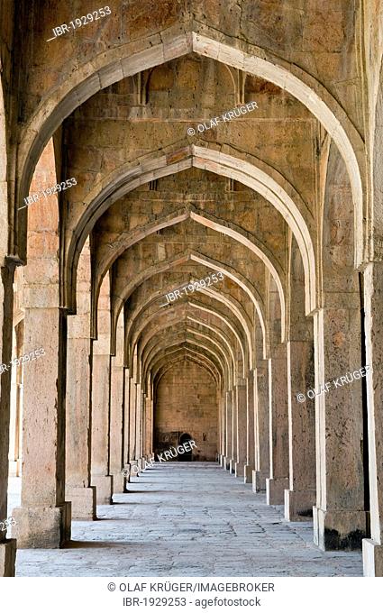 Arches of the prayer hall of a mosque, Jama Masjid, Mandu, Madhya Pradesh, North India, India, Asia