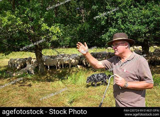 24 July 2023, Rhineland-Palatinate, Hundsdorf: Sheep farmer and wolf officer Werner Neumann stands with his flock on an area only 15 kilometers away from the...