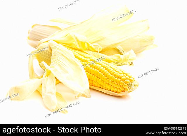 Uncooked corn cob isolated on white background