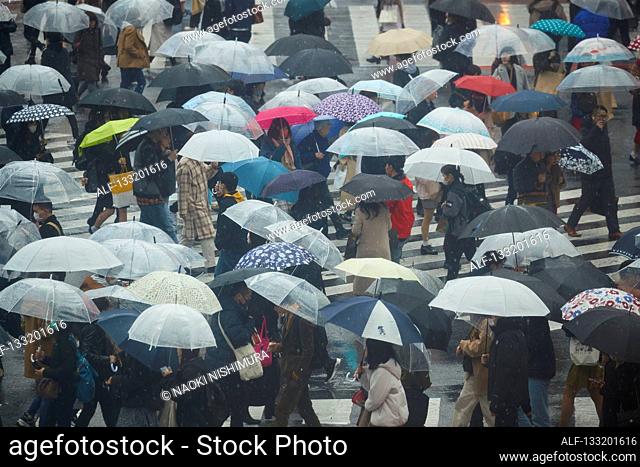 People Crossing A Crossroad On A Rainy Day In Tokyo, Japan