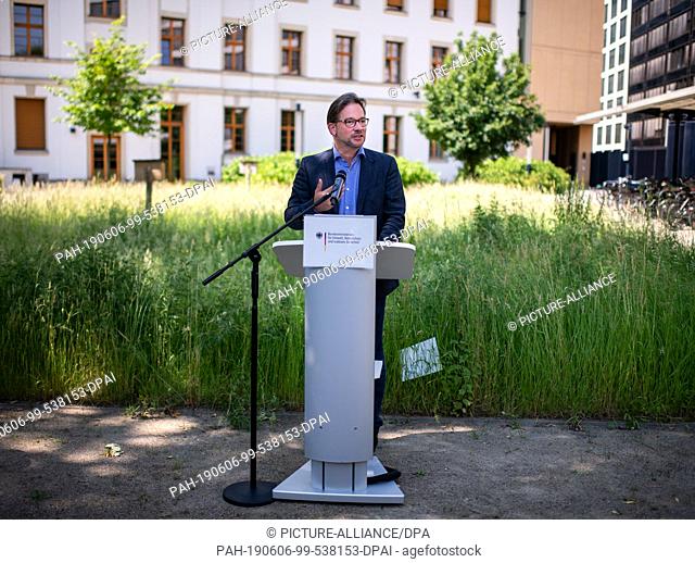 06 June 2019, Berlin: Florian Pronold (SPD), Parliamentary State Secretary in the Federal Ministry for the Environment, Nature Conservation and Nuclear Safety