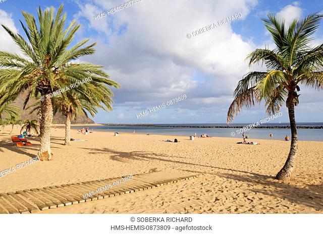 Spain, Canary Islands, Tenerife, San Andres, la Teresitas, beach, beach and coconut trees