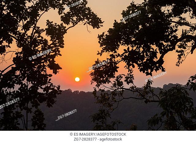 Sunset over the Himalayan foothills seen through trees
