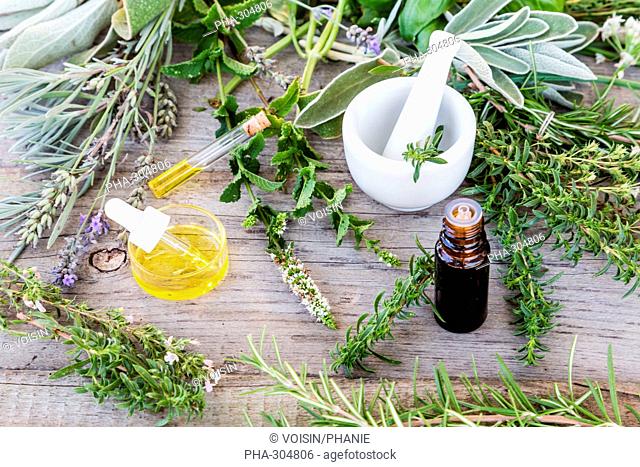 Assortment of herbs used fot essential oils
