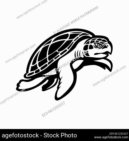 Black and white mascot illustration of a Kemp's ridley sea turtle, or the Atlantic ridley sea turtle, the rarest species of sea turtle