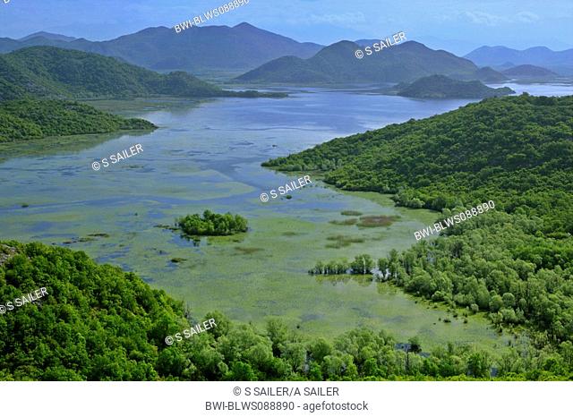 within mountains and forest embedded Lake Skadar, Serbia and Montenegro, Montenegro, Skutari See Nationalpark