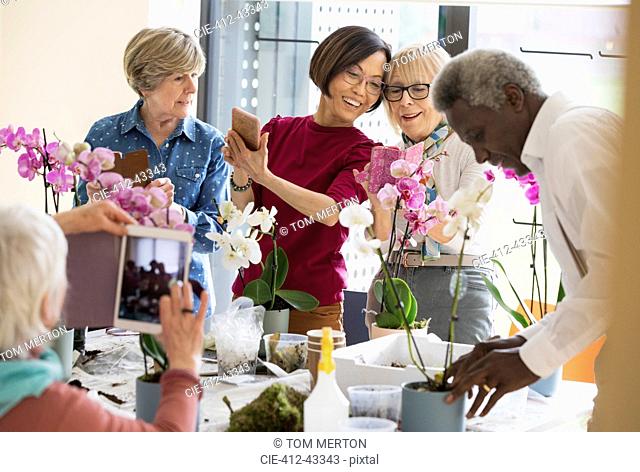 Active seniors enjoying flower arranging class