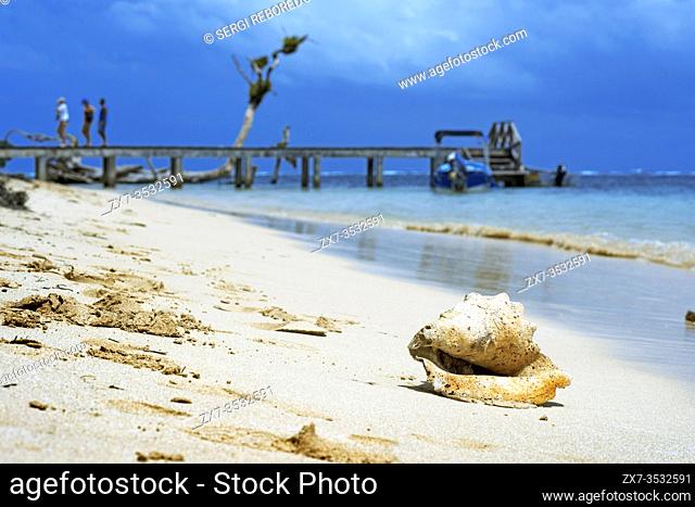 Island beach taken from the water surface with lush tropical vegetation, Bocas del Toro, Caribbean sea, Zapatillas Keys, Panama