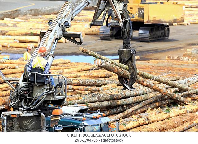 Self loading logging truck operator loading logs at sawmill, Ladysmith, Vancouver Island, British Columbia