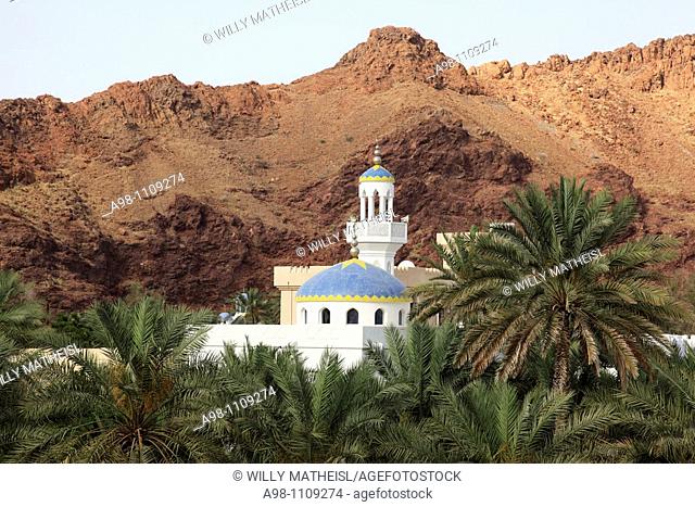 colorful mosque in wadi with date palms at the village of Fanja, Hajar al Gharbi, Sultanate of Oman, Asia