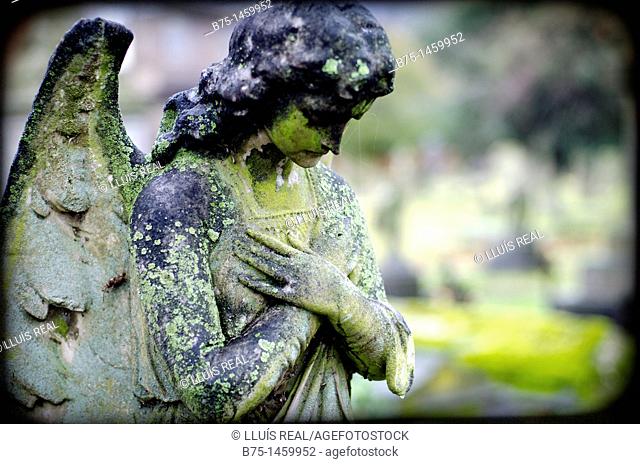 Angel en Old Bromton Cemetery; London