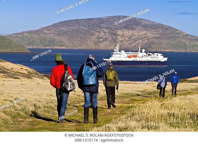 Guests from the Lindblad Expedition ship National Geographic Explorer on New Island, Falkland Islands, South Atlantic Ocean  MORE INFO Lindblad Expeditions...