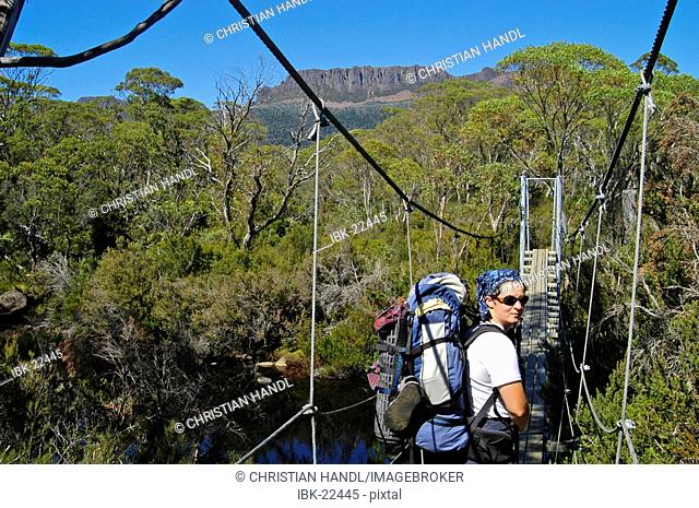 Hiker in front of suspension bridge in Overland Track in Cradle Mountain NationalparkTasmania Australia