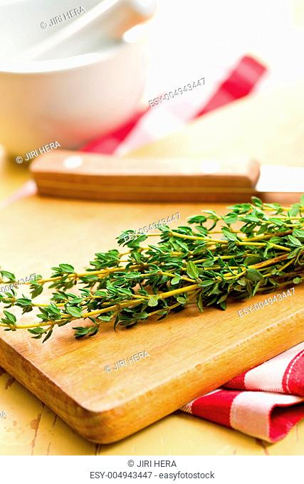 thyme herb