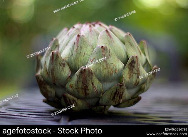 Globe artichoke with space for copy