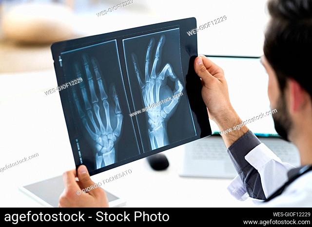 Male doctor examining medical X-ray