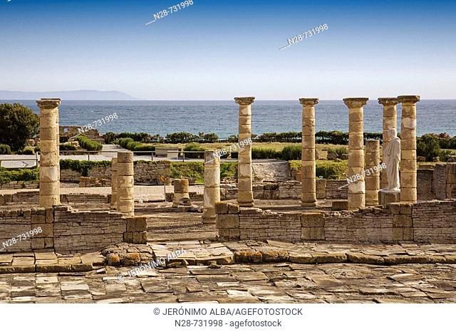 Ruins of basilica, archaeological site of old roman city of Baelo Claudia, Bolonia, Tarifa. Costa de la Luz, Cadiz province, Andalusia, Spain