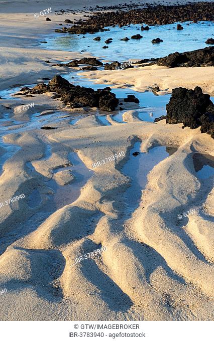 Dragon Hill beach, Santa Cruz Island, Galapagos Islands, Ecuador, Unesco World Heritage Site