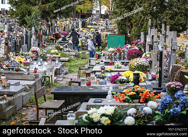 Alley with graves on Wolski Cemetery in Warsaw city, few days before All Saints Day feast in Poland