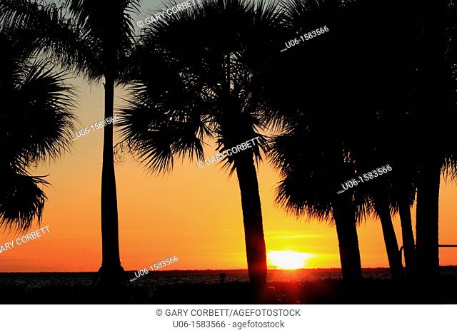 A Charlotte Harbor sunset at Punta Gorda Florida USA