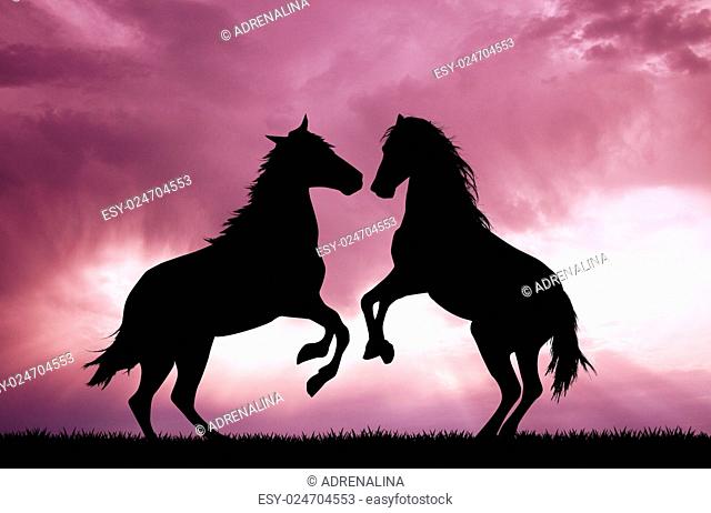 illustration of Horses in love