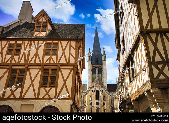 Traditional timber-frame Tudor style buildings, Notre-Dame church, Rue de la Chouette, Dijon, Côte d'Or, Burgundy Region, Bourgogne, France, Europe