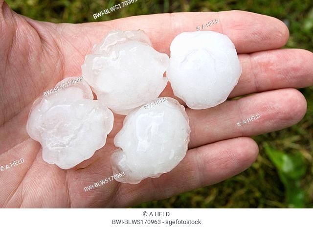 big hailstones on hand, Germany, Baden-Wuerttemberg, Eberbach