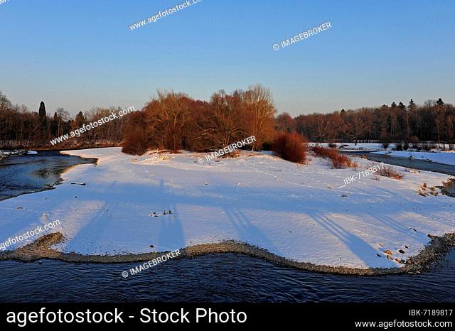 White winter landscape with trees on the Isar at the Flaucher, Munich, Bavaria, Germany, Europe