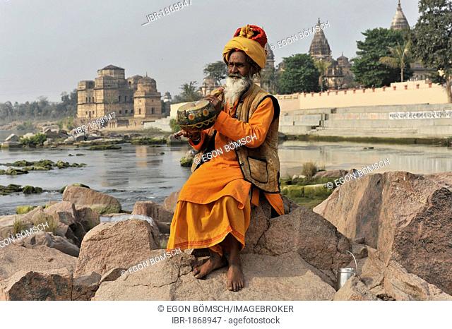 Sadhu or holy man with musical instrument, Orchha, Madhya Pradesh, North India, India, Asia