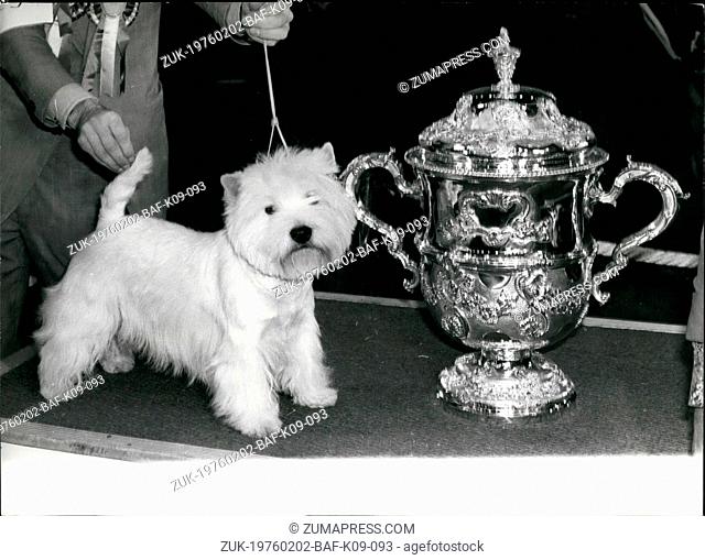 Feb. 02, 1976 - A est Highland Terrier Wins Crufts - A West Highland Terrier by the Name of Bertie Buttons Yesterday Became the Supreme Champion at Crufts Dog...