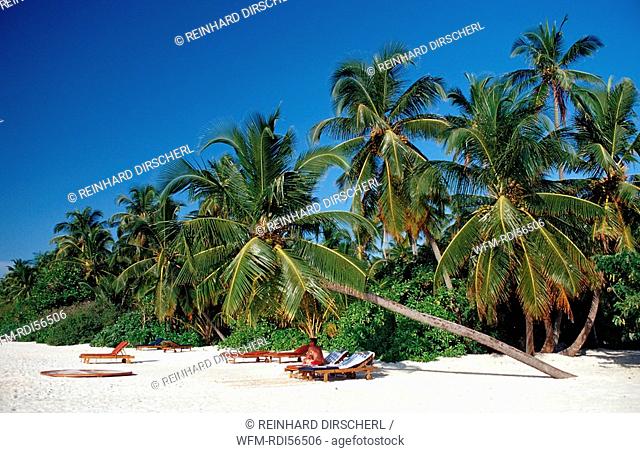 Beach on Maledivian Island, Indian Ocean, Medhufushi, Meemu Atoll, Maldives
