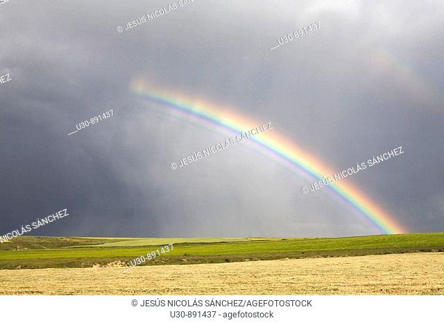 Steppe and cereal fields  Rainbow in a summer storm  Agricultural landscape in Monterrubio De La Armuna  Salamanca  Castille and Leon  Spain