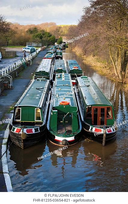 Narrowboats moored on canal, Shropshire Union Canal, Bunbury, Cheshire, England, january